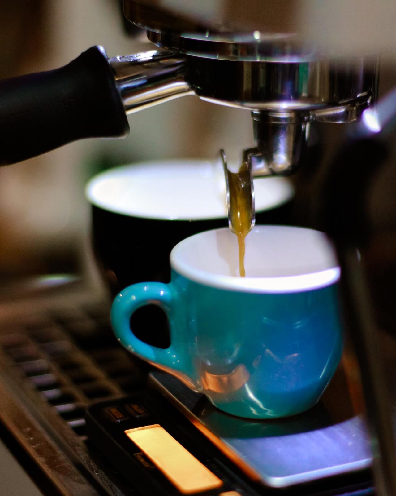 Artisanal Coffee Lover's Kit